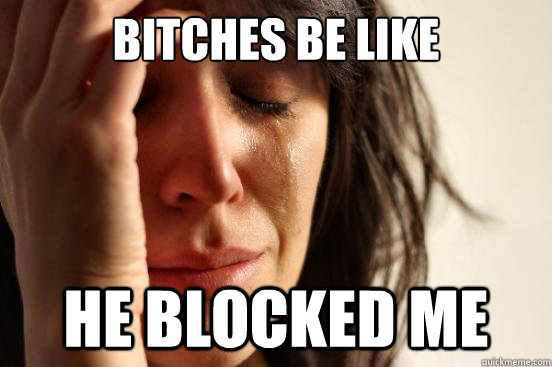 Bitches be like he blocked me  First World Problems