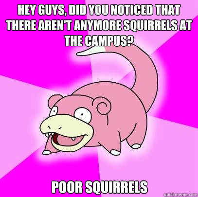 Hey guys, did you noticed that there aren't anymore squirrels at the campus? poor squirrels  Slowpoke