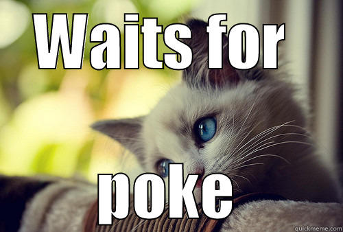 WAITS FOR  POKE First World Problems Cat