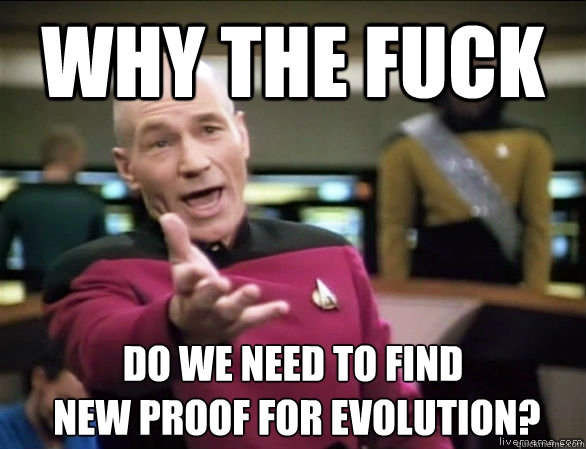 why the fuck do we need to find
 new proof for evolution? - why the fuck do we need to find
 new proof for evolution?  Annoyed Picard HD