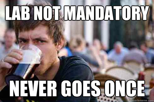 lab not mandatory never goes once  Lazy College Senior