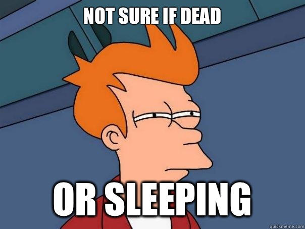 Not sure if dead or sleeping  Futurama Fry