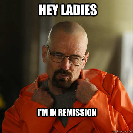 Hey Ladies I'm in remission  Sexy Walter White