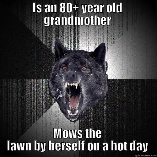 IS AN 80+ YEAR OLD GRANDMOTHER MOWS THE LAWN BY HERSELF ON A HOT DAY Insanity Wolf