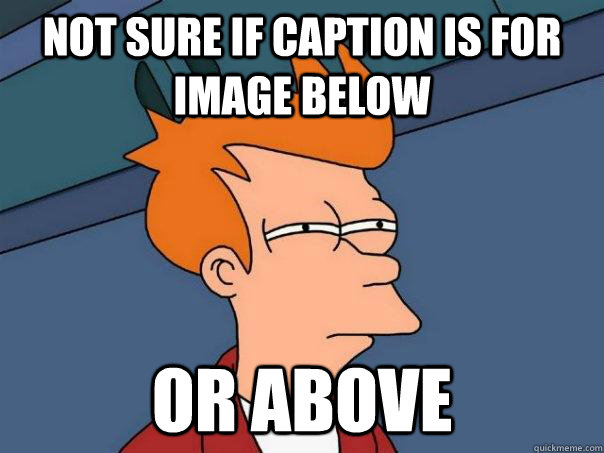 Not sure if caption is for image below Or above  Futurama Fry