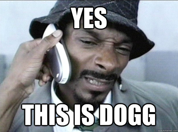 YES this is dogg - YES this is dogg  Misc