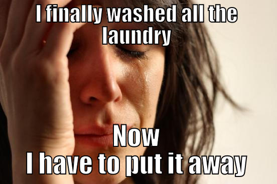 I FINALLY WASHED ALL THE LAUNDRY NOW I HAVE TO PUT IT AWAY First World Problems
