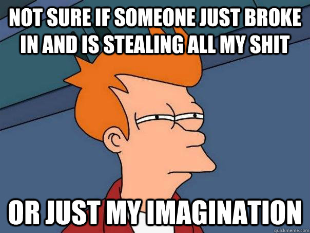 Not sure if someone just broke in and is stealing all my shit Or just my imagination  Futurama Fry