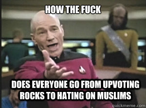 How the fuck Does everyone go from upvoting rocks to hating on muslims  Annoyed Picard