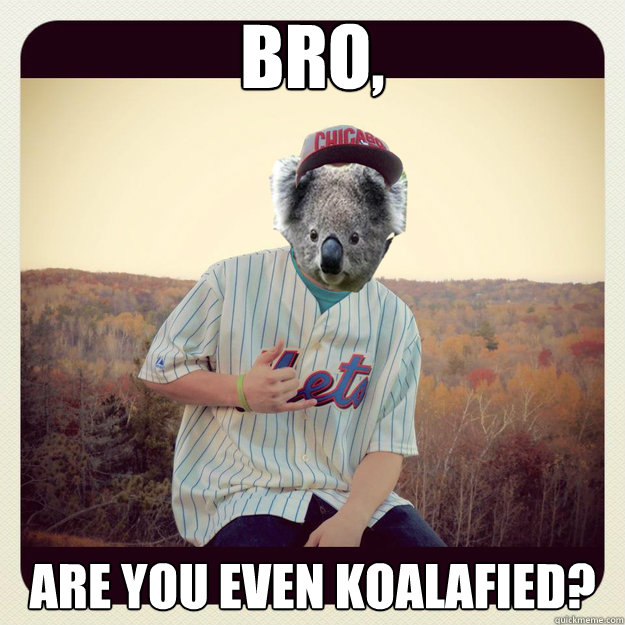 BRO, Are you even Koalafied? - BRO, Are you even Koalafied?  Koalafied