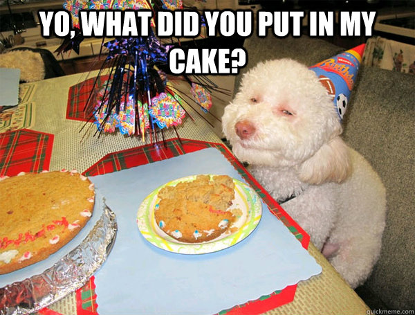 Stoned Dog Birthday Cake Stoned Dog Birthday Cake