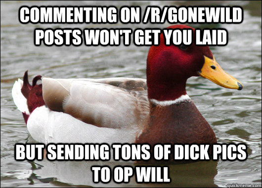 Commenting on /r/gonewild posts won't get you laid but sending tons of dick pics to OP will  Malicious Advice Mallard