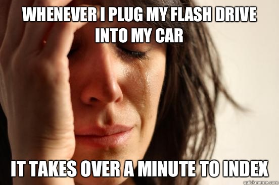 Whenever I plug my flash drive into my car It takes over a minute to index  First World Problems