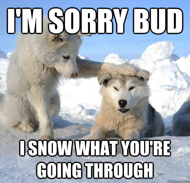 I'm sorry bud i snow what you're going through  Caring Husky