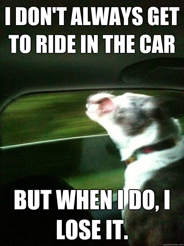 I don't always get to ride in the car But when I do, I lose it.  Happy dog