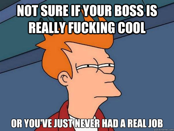 not sure if your boss is really fucking cool  or you've just never had a real job - not sure if your boss is really fucking cool  or you've just never had a real job  Futurama Fry