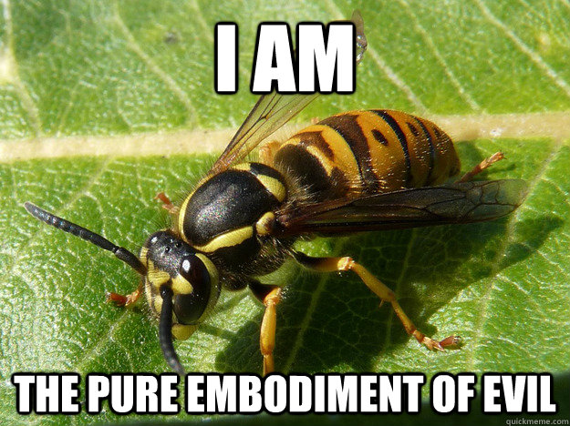 I am the pure embodiment of evil - I am the pure embodiment of evil  Nuisance Wasp