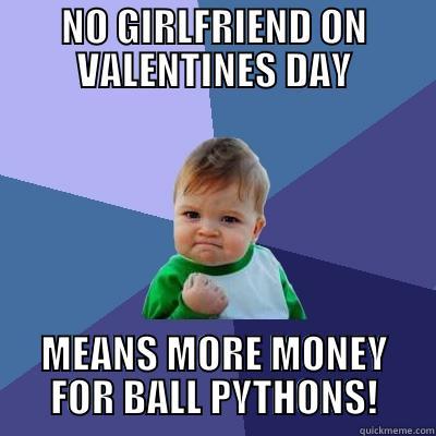 NO GIRLFRIEND ON VALENTINES DAY MEANS MORE MONEY FOR BALL PYTHONS! Success Kid