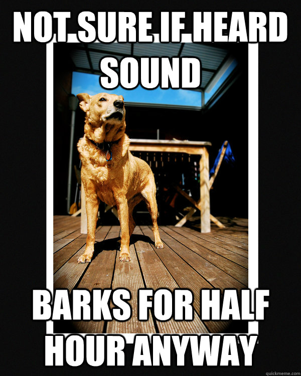 not sure if heard sound barks for half hour anyway  Aging Guard Dog