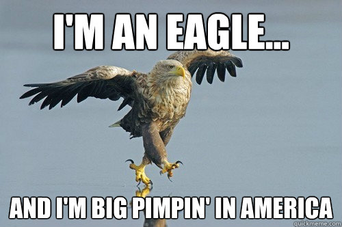 I'm an eagle... and i'm big pimpin' in america - I'm an eagle... and i'm big pimpin' in america  Eagles dont give a fuuuuu....