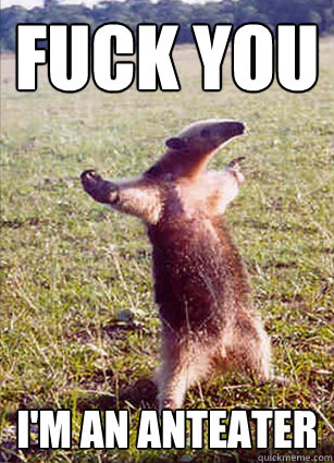 Fuck you i'm an anteater - Fuck you i'm an anteater  Defiace Anteater