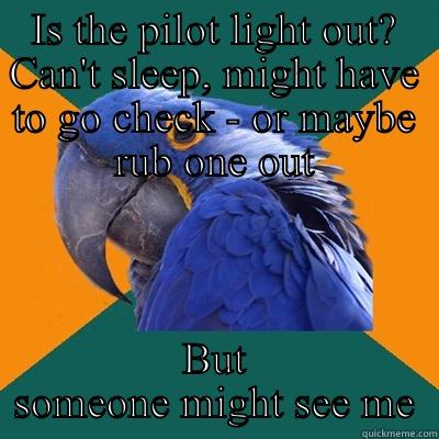 IS THE PILOT LIGHT OUT? CAN'T SLEEP, MIGHT HAVE TO GO CHECK - OR MAYBE RUB ONE OUT BUT SOMEONE MIGHT SEE ME Paranoid Parrot