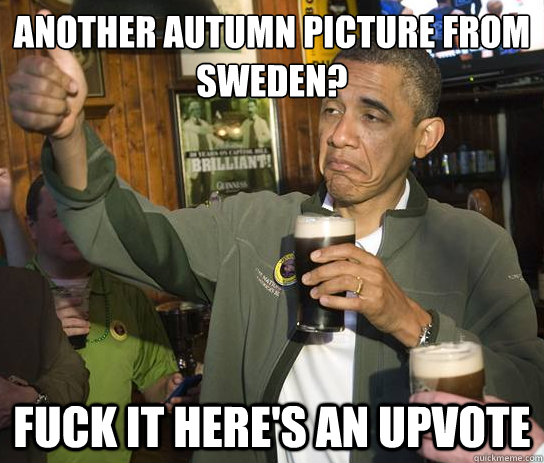 Another autumn picture from sweden? fuck it here's an upvote  Approving Obama