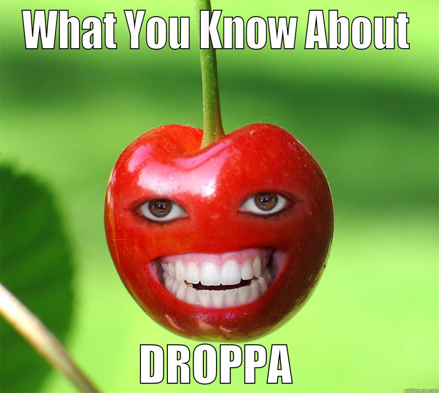 WHAT YOU KNOW ABOUT DROPPA Misc