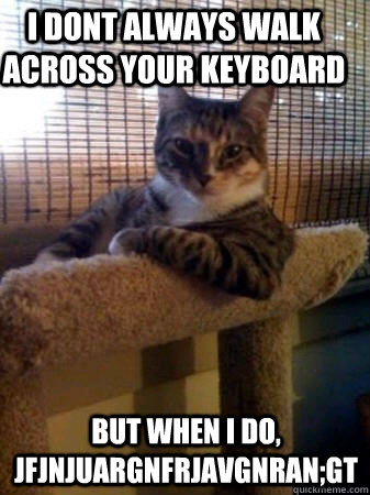 I dont always walk across your keyboard but when I do, jfjnjuargnfrjavgnran;gt  The Most Interesting Cat in the World