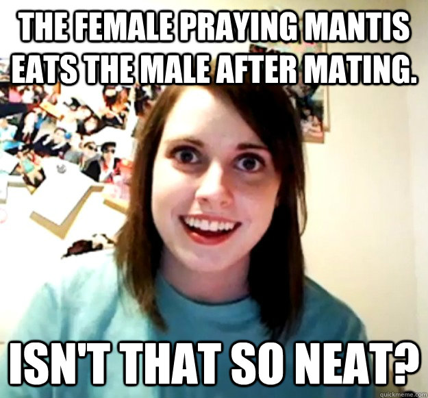 The female praying mantis eats the male after mating. isn't that so neat? - The female praying mantis eats the male after mating. isn't that so neat?  Overly Attached Girlfriend