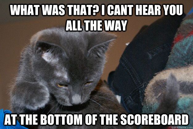 what was that? i cant hear you all the way at the bottom of the scoreboard - what was that? i cant hear you all the way at the bottom of the scoreboard  Condescending CS Cat