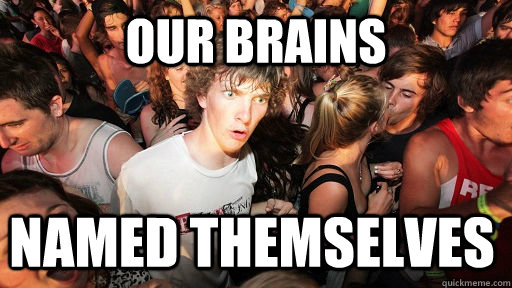 Our brains named themselves   Sudden Clarity Clarence