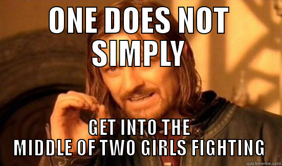 ONE DOES NOT SIMPLY GET INTO THE MIDDLE OF TWO GIRLS FIGHTING Boromir