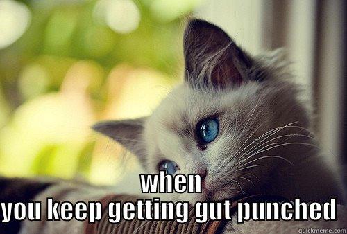  WHEN YOU KEEP GETTING GUT PUNCHED  First World Problems Cat