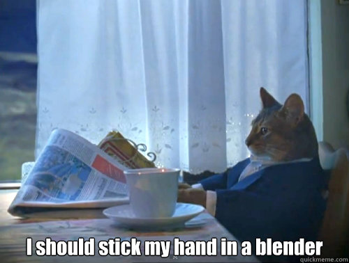  I should stick my hand in a blender  The One Percent Cat