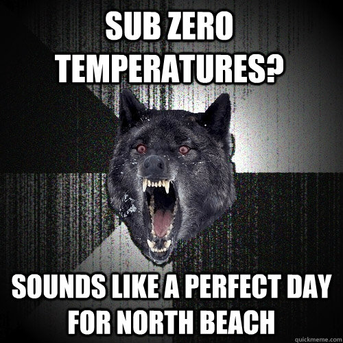 Sub Zero Temperatures? Sounds like a Perfect Day for North Beach  Insanity Wolf