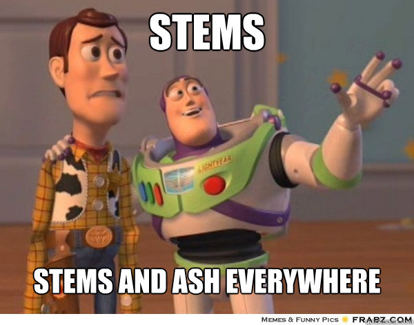 Stems stems and ash everywhere  Buzzlightyear