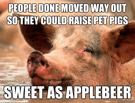 people done moved way out so they could raise pet pigs sweet as applebeer  Stoner Pig