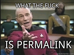 what the fuck is permalink  Annoyed Picard