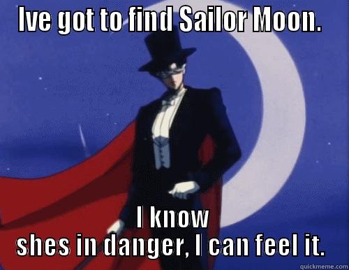 IVE GOT TO FIND SAILOR MOON.  I KNOW SHES IN DANGER, I CAN FEEL IT.  Misc