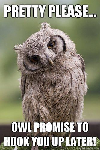 Pretty Please... owl promise to hook you up later! - Pretty Please... owl promise to hook you up later!  When a friend asks for some trees