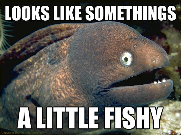 Looks like somethings a little fishy - Looks like somethings a little fishy  Bad Joke Eel