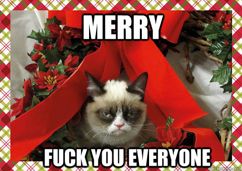 merry  fuck you everyone  A Grumpy Cat Christmas