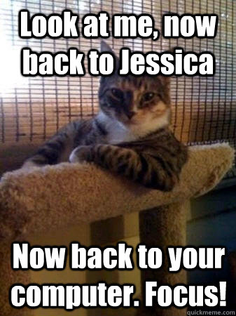 Look at me, now back to Jessica Now back to your computer. Focus!  The Most Interesting Cat in the World