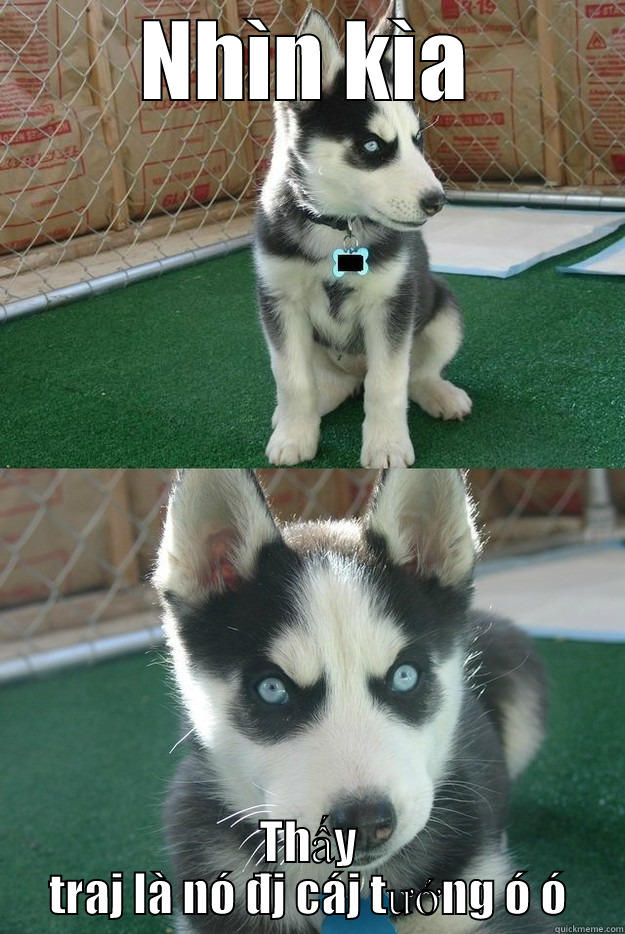 NHÌN KÌA THẤY TRAJ LÀ NÓ ĐJ CÁJ TƯỚNG Ó Ó Insanity puppy