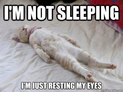 I'm not sleeping I'm just resting my eyes - I'm not sleeping I'm just resting my eyes  Misc