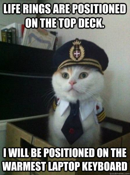 Life rings are positioned on the top deck. I will be positioned on the warmest laptop keyboard  Captain kitteh