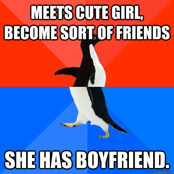 Meets cute girl, become sort of friends She has boyfriend.  Socially Awesome Awkward Penguin