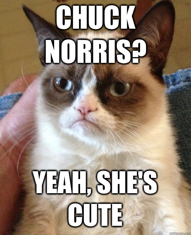 Chuck Norris? Yeah, she's cute  Grumpy Cat