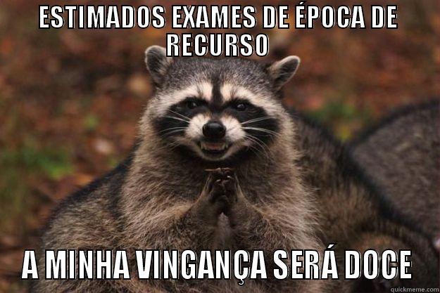 ESTIMADOS EXAMES DE ÉPOCA DE RECURSO A MINHA VINGANÇA SERÁ DOCE Evil Plotting Raccoon